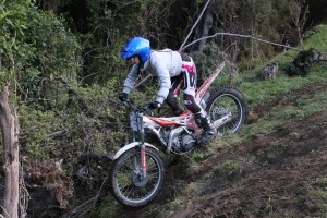 34466324104_6fc4570d36_o