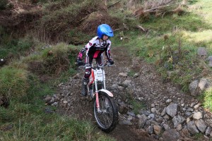 34466324164_266e07da75_o