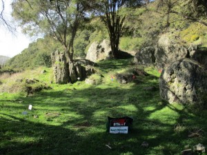 Section one with the sharks tooth in the background.