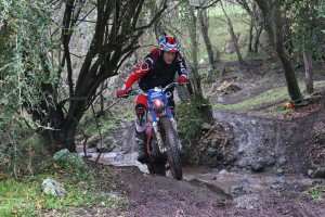 34466335034_f04dddb139_b