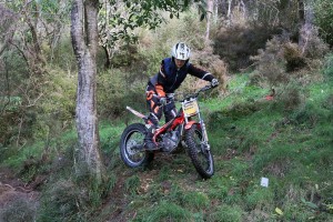 34499951533_1e016136a2_b