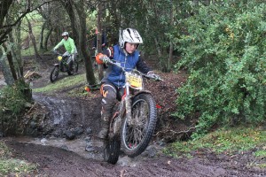 34499952203_c03a66267e_b